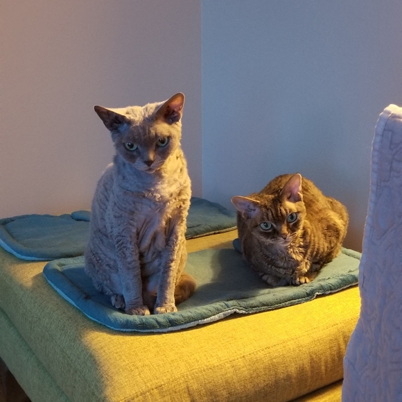 Meet me! Nate - Picture 6 of 11